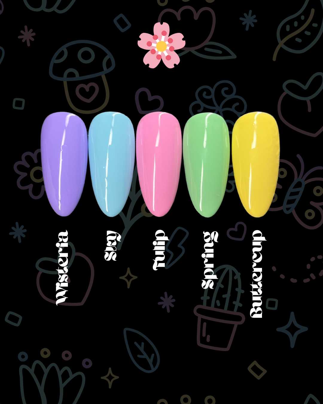 The Basics Bundle (5)