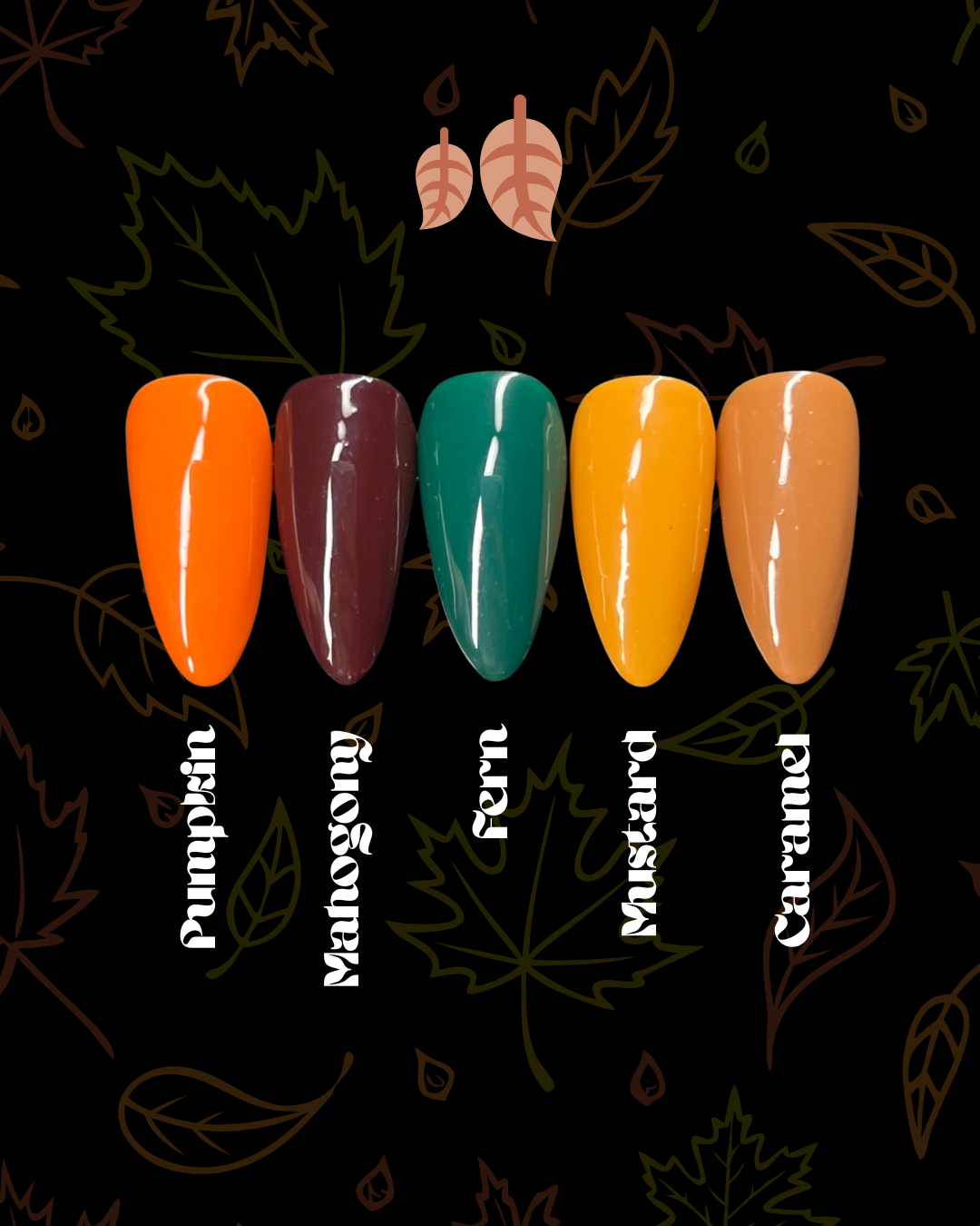 The Basics Bundle (5)
