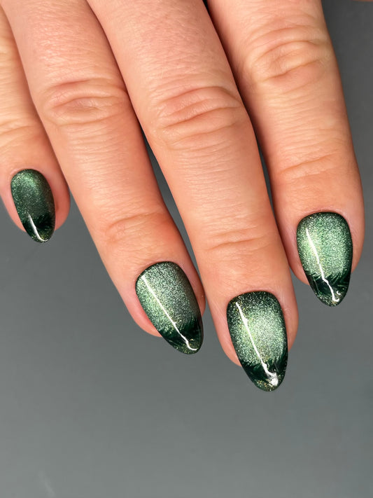 Evergreen - Frosted Forest Collection