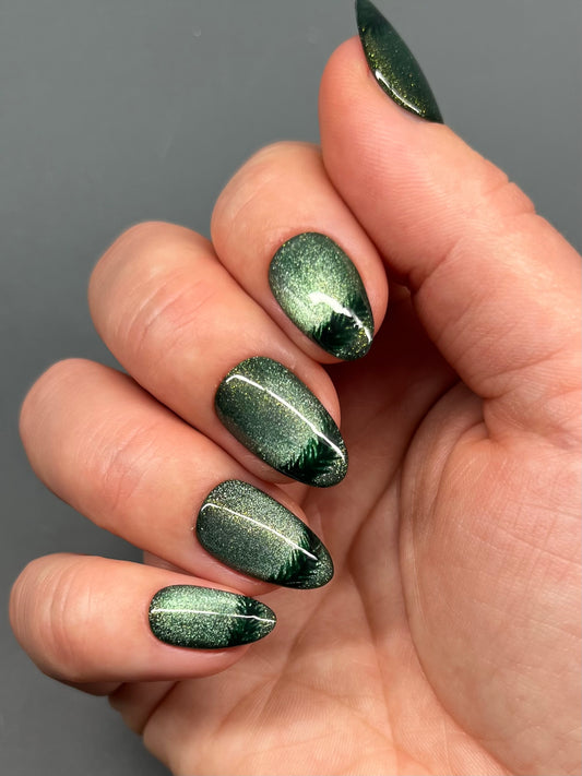Evergreen - Frosted Forest Collection